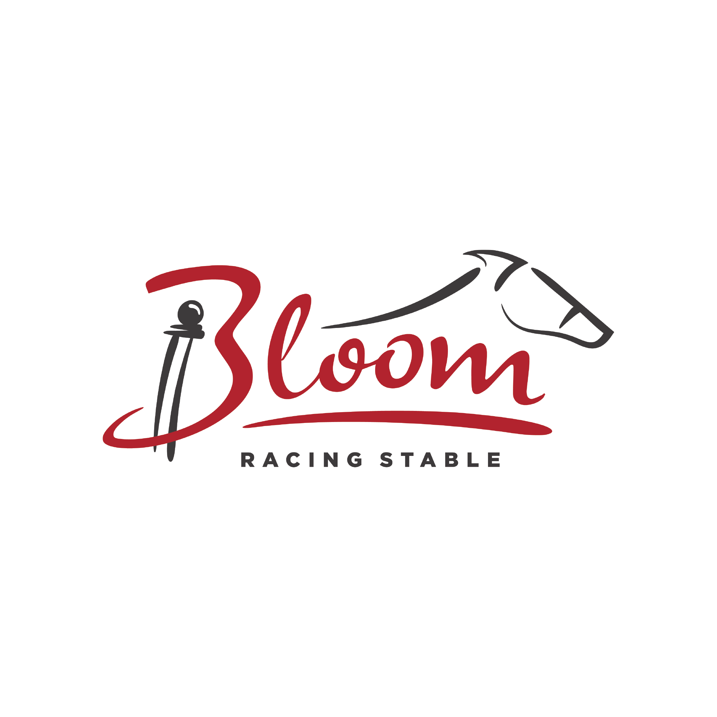 After logo - Bloom Racing Stable rebranding