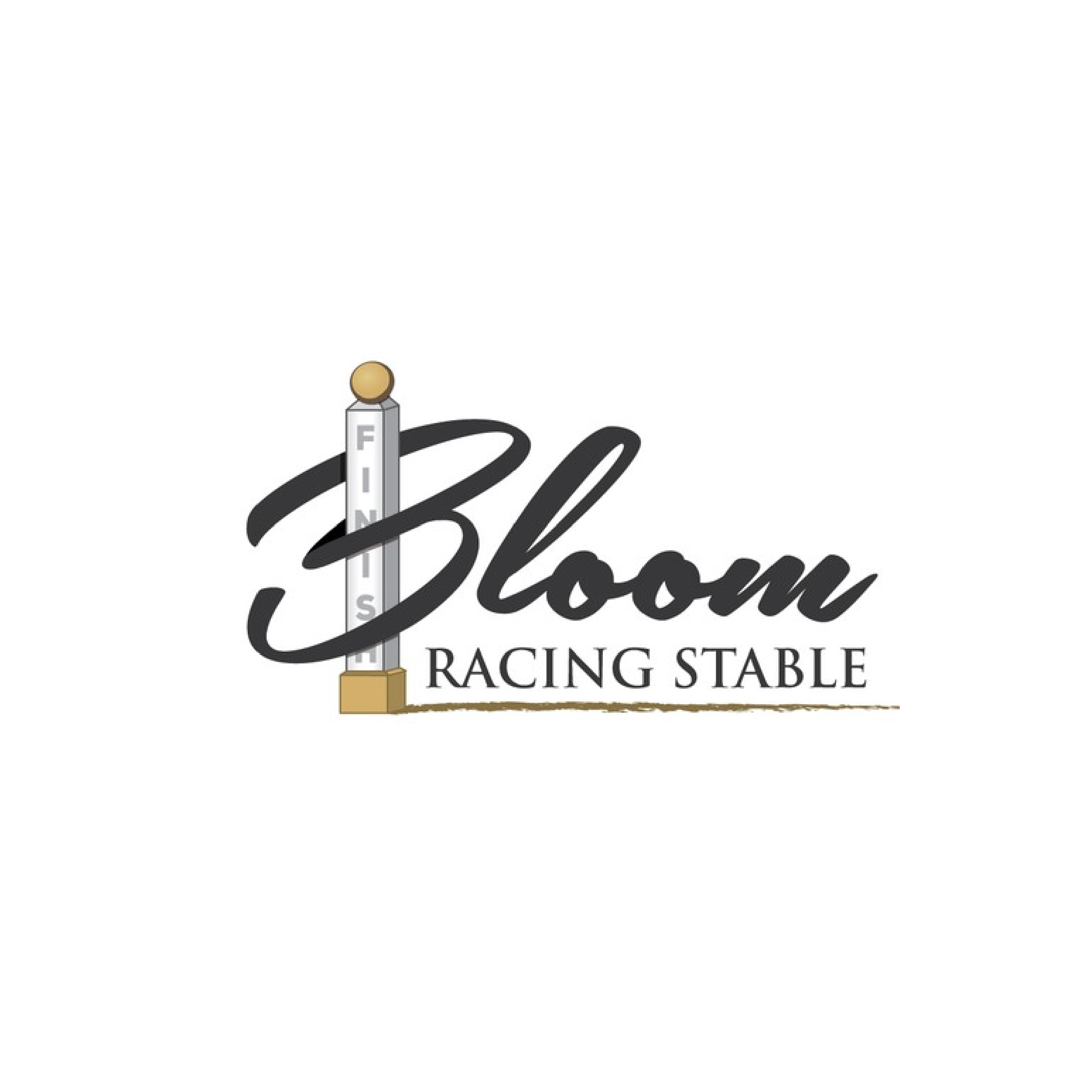 Before logo - Bloom Racing Stable rebranding