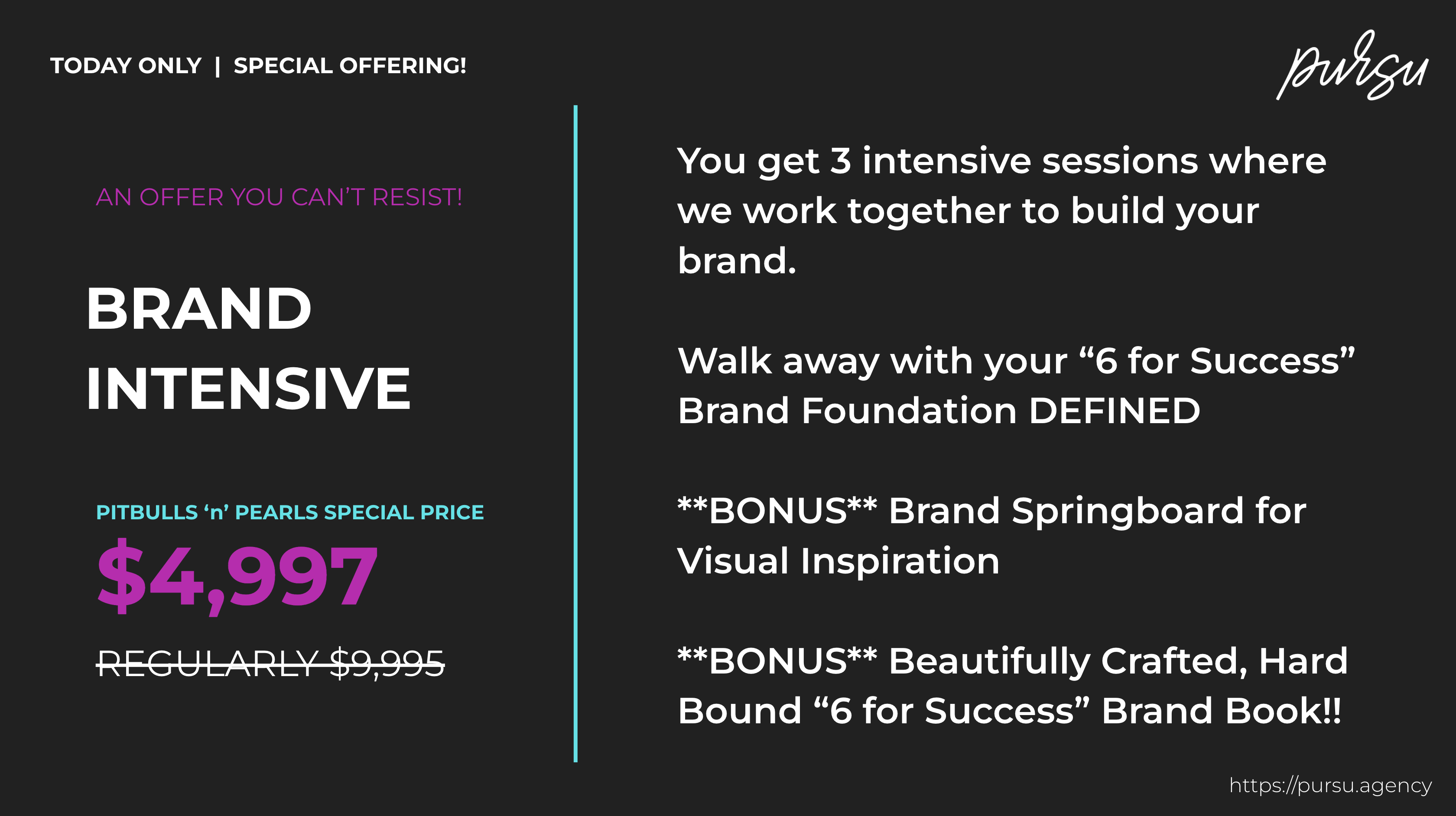 Get an in-depth brand intensive session with branding expert Betsy! Walk away with your 6-for-Success brand strategy DEFINED and receive a beautiful brand book you can use to guide and grow your business.
