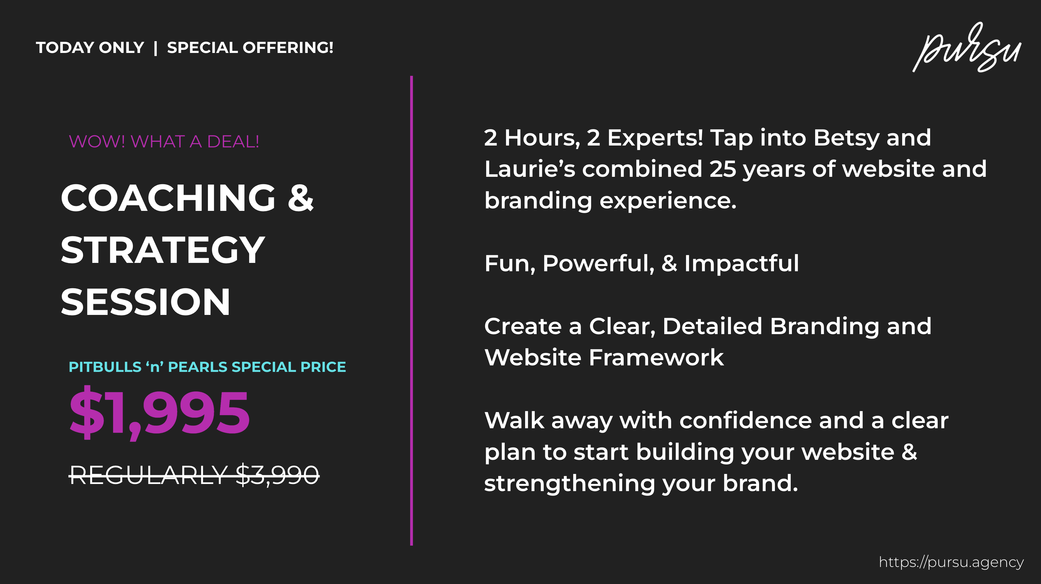 Stuck or not sure how to build the business of your dreams? Let Laurie and Betsy guide you with an in-depth coaching and business strategy session focused on website development, brand strategy, business growth and more!